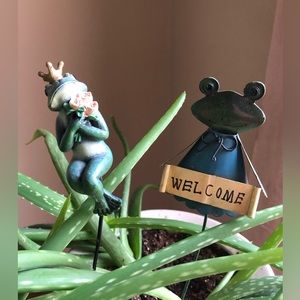 Cute frog plant stakes for indoor/outdoor plants. Metal stakes